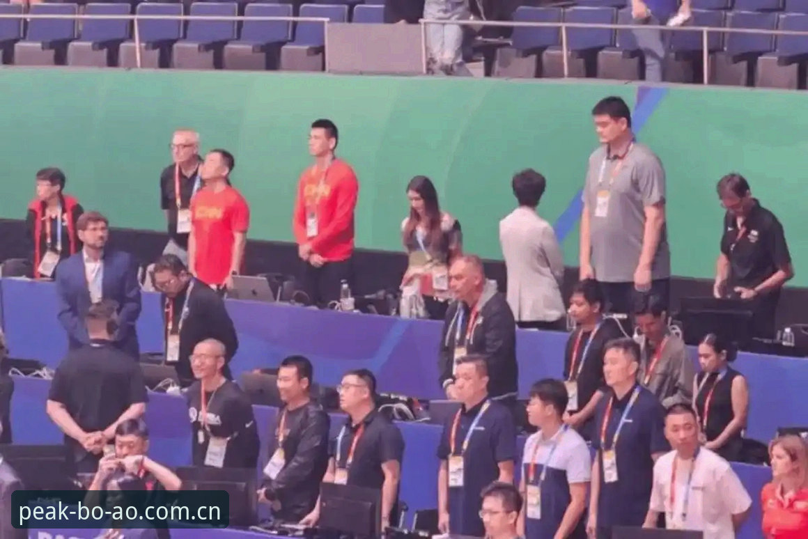 世界杯观赛体验对比：博澳体育平台vs现场观战的签证困境与政策博弈